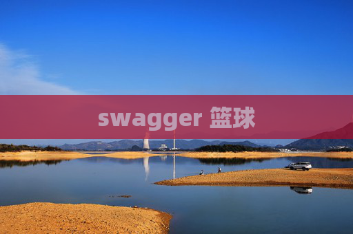 swagger 篮球 swagger 篮球