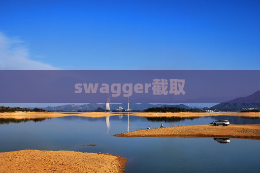 swagger截取