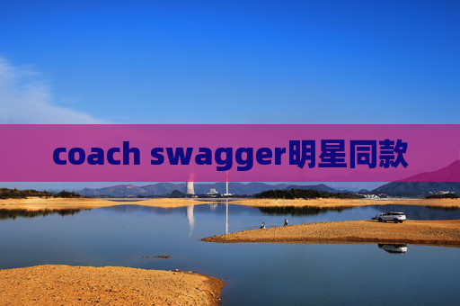 coach swagger明星同款
